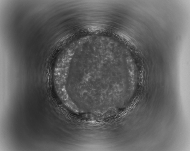 X0000093480917200711020930
