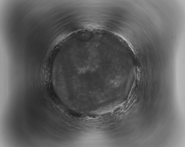 X0000093480919200711020930