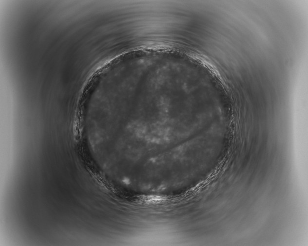 X0000093480920200711020930