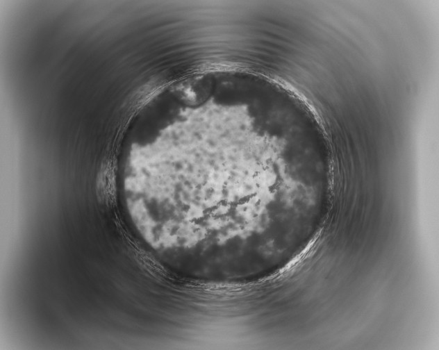 X0000093480921200711020930
