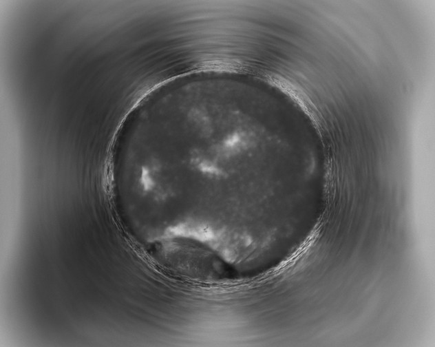 X0000093480923200711020930