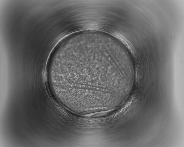 X0000093480924200711020930