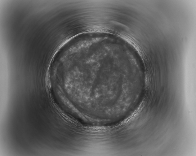 X0000093480925200711020930