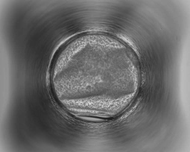 X0000093480928200711020930