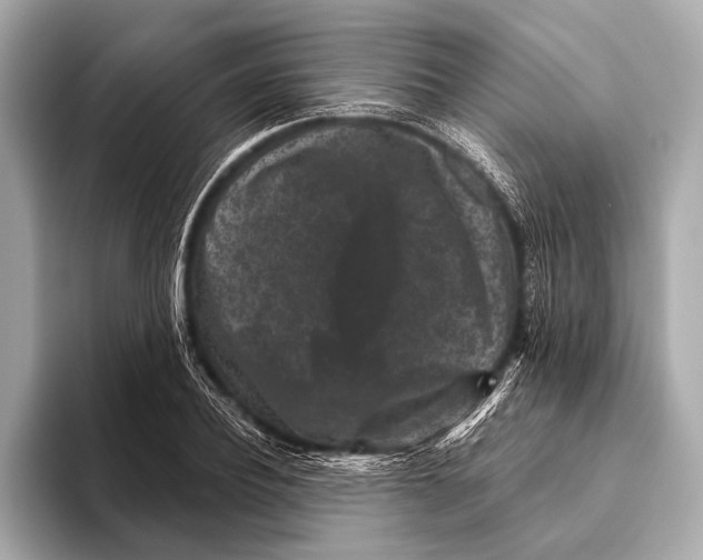 X0000093480932200711020930