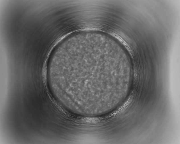X0000093480933200711020930