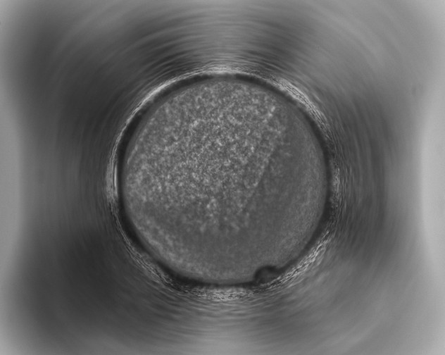 X0000093480934200711020930