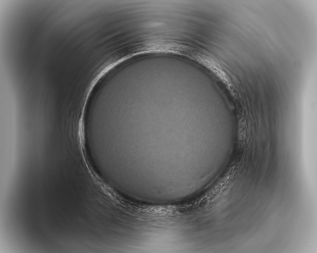 X0000093480936200711020930