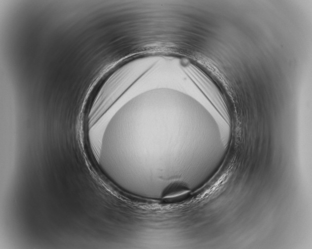 X0000093480941200711020931