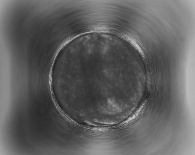 X0000093480944200711020931