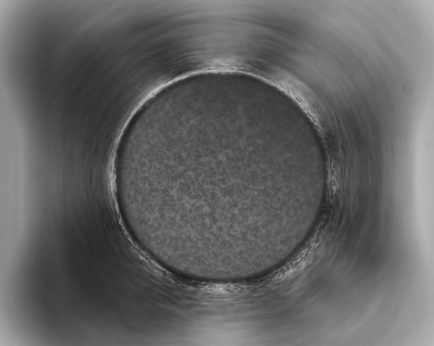 X0000093480950200711020931