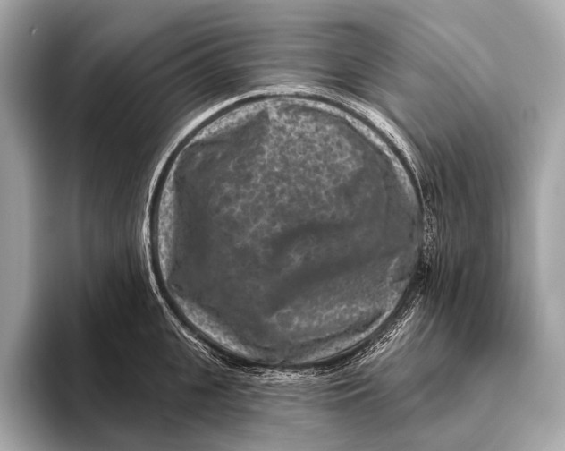X0000093480951200711020931