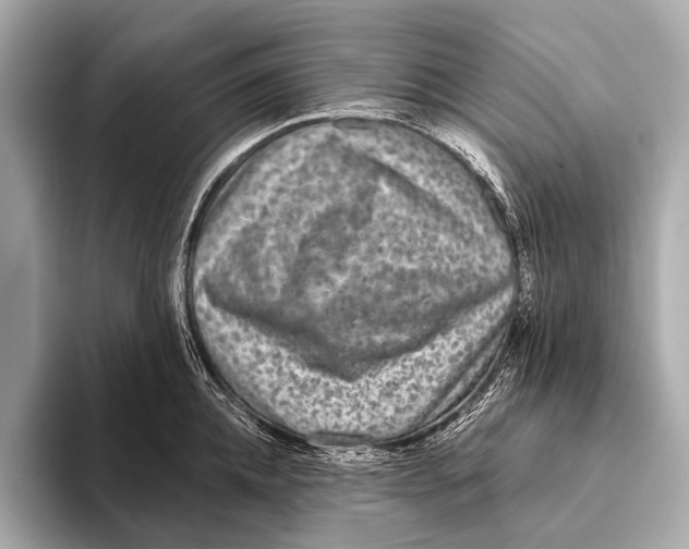 X0000093480952200711020931
