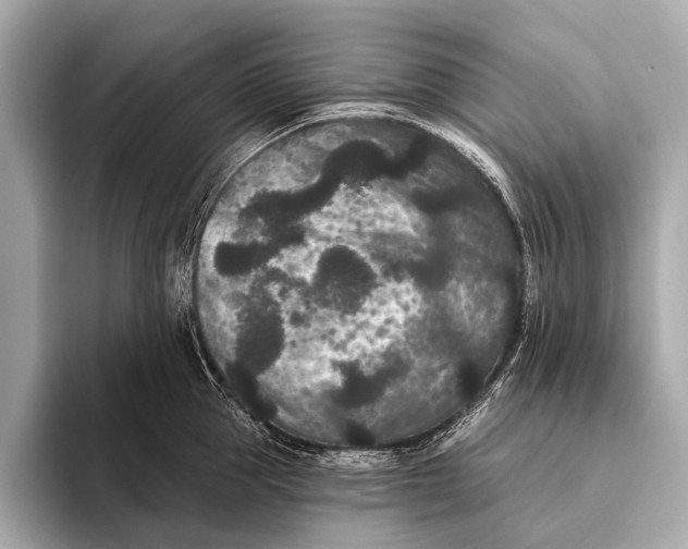 X0000093480953200711020931