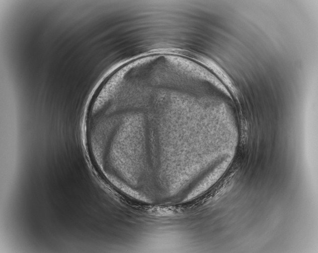 X0000093480955200711020931