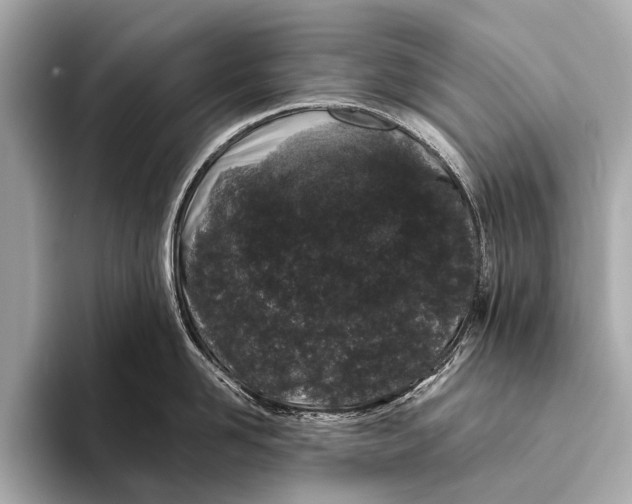 X0000093480958200711020931