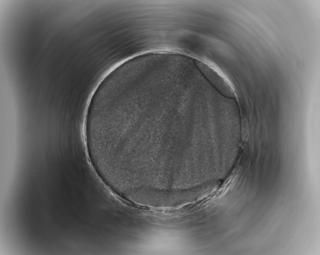 X0000093480959200711020931