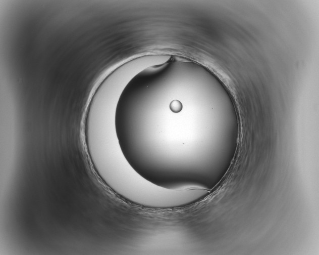 X0000093480960200711020931