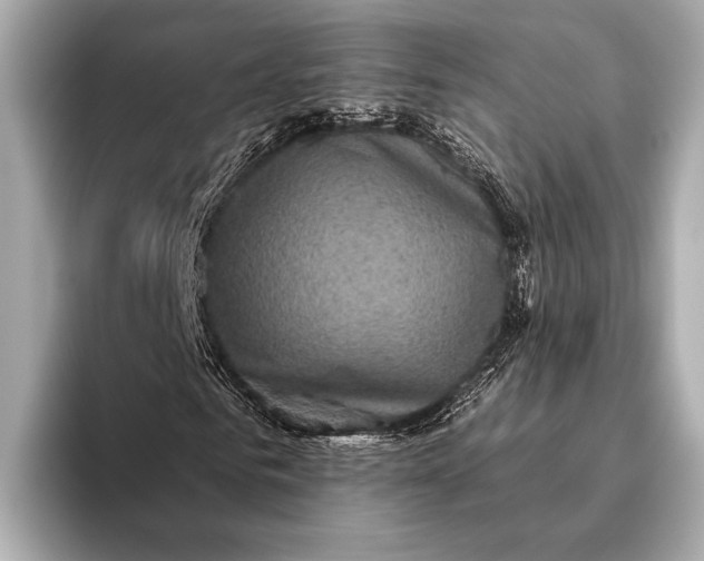 X0000093480961200711020930