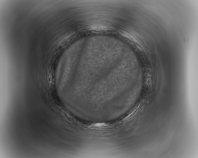 X0000093480966200711020930