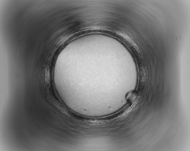 X0000093480969200711020930