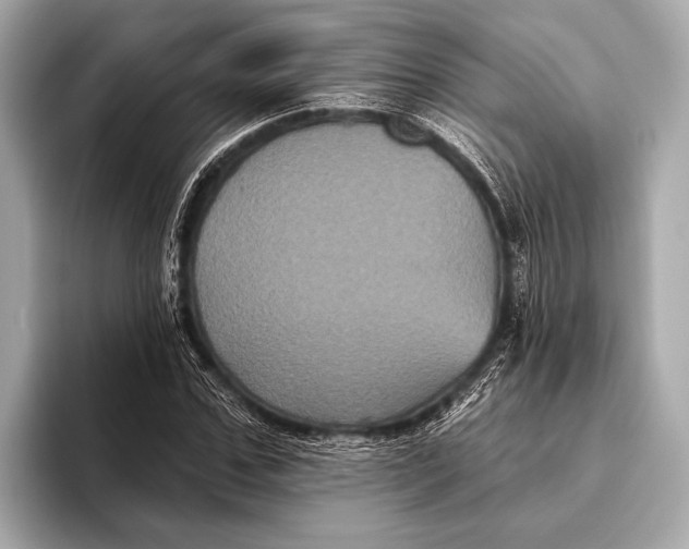 X0000093480971200711020930