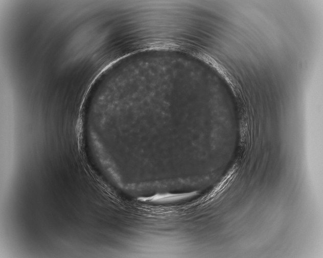 X0000093480975200711020930