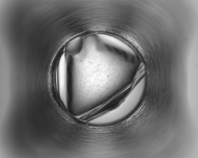 X0000093480976200711020930
