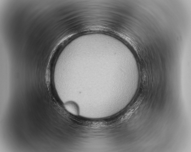X0000093480979200711020930