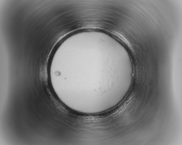 X0000093480980200711020930