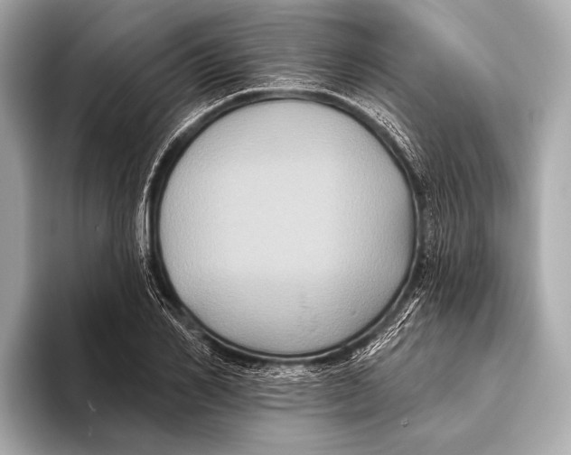 X0000093480982200711020930