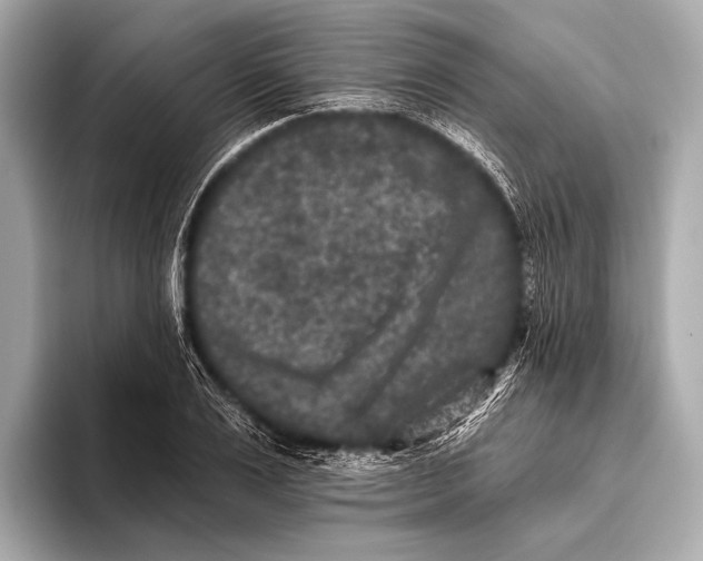 X0000093480983200711020930