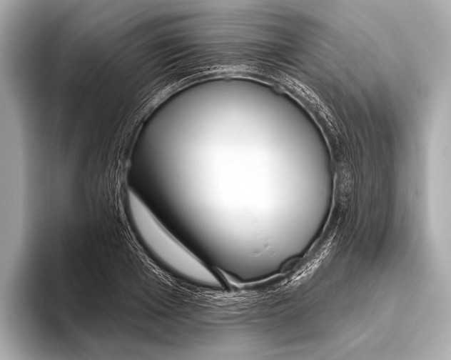 X0000093480985200711020930