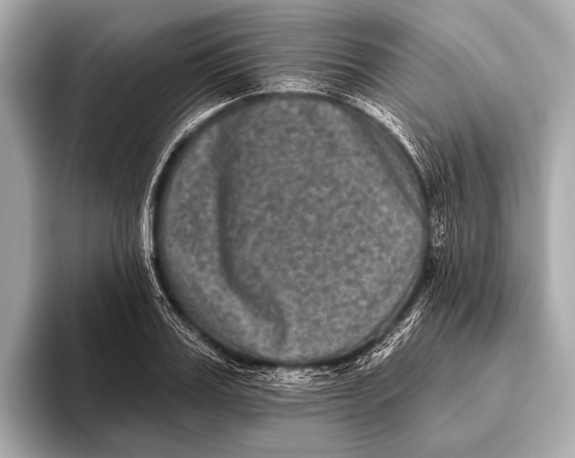 X0000093480987200711020930