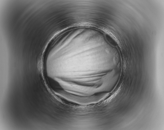 X0000093480989200711020930