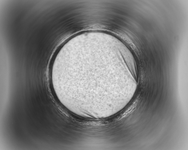X0000093480990200711020930