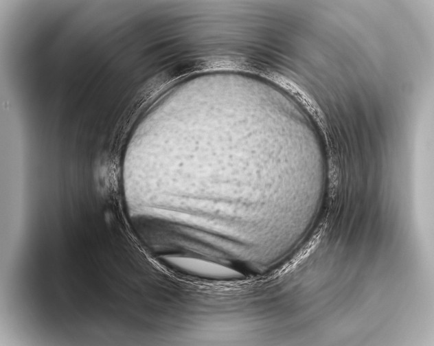 X0000093480993200711020930