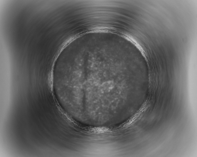 X0000093480994200711020930