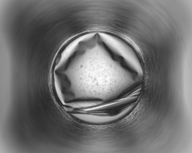X0000093480996200711020930