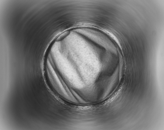 X0000093480997200711020930