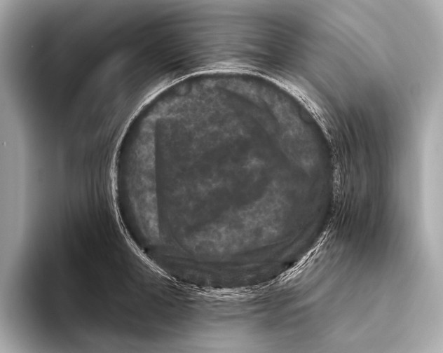 X0000093480998200711020930
