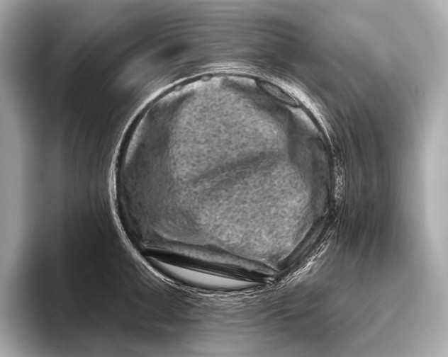X0000093480999200711020930