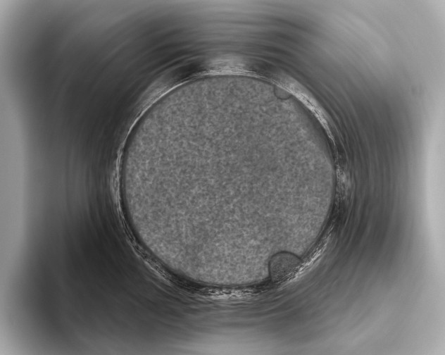 X0000093481002200711020930