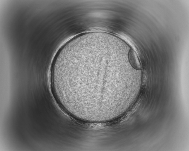 X0000093481003200711020930