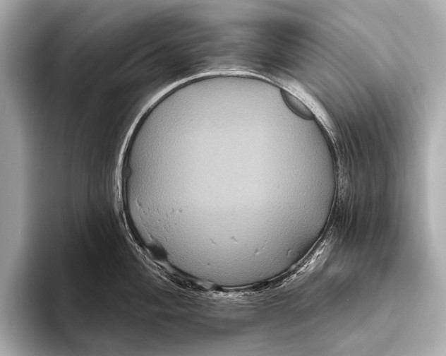 X0000093481004200711020930