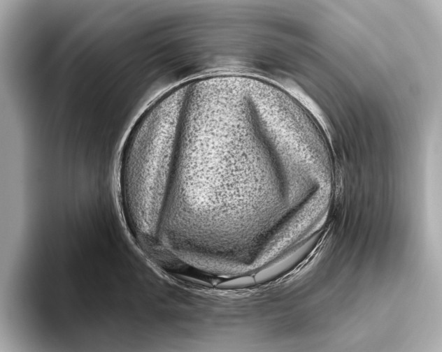 X0000093481005200711020930