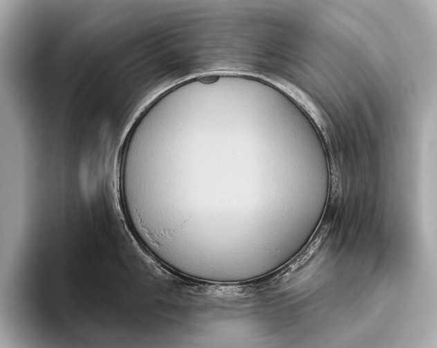 X0000093481006200711020930