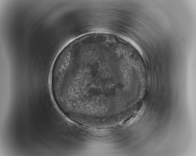 X0000093481007200711020930