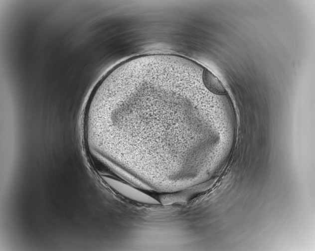 X0000093481008200711020930