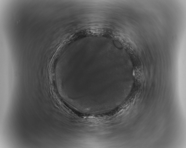 X0000093481009200711020929